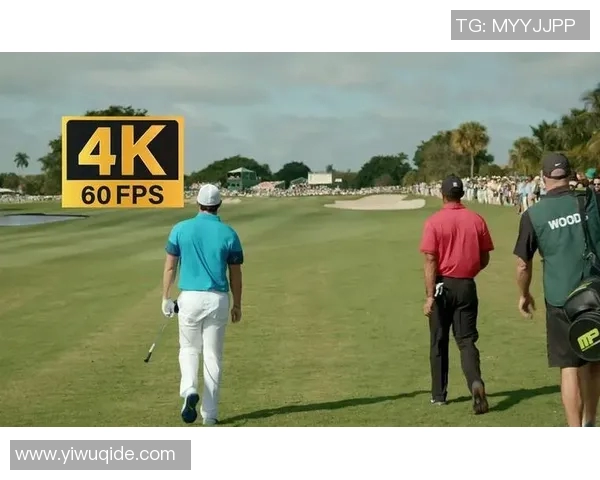 足球明星与歌手收入对比谁更赚钱揭秘背后的财富真相