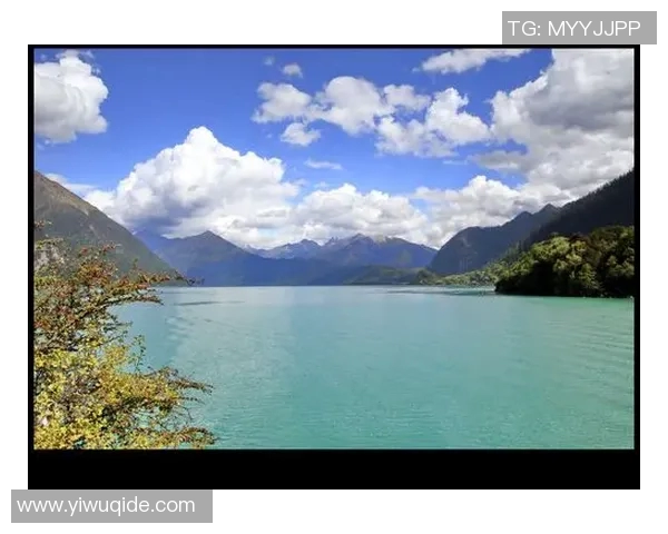 斯通斯乐队的音乐传奇与文化影响力探讨之旅